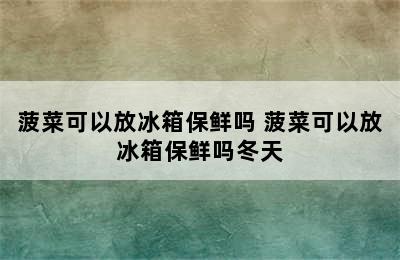 菠菜可以放冰箱保鲜吗 菠菜可以放冰箱保鲜吗冬天